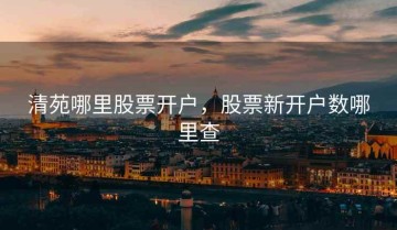 清苑哪里股票开户，股票新开户数哪里查