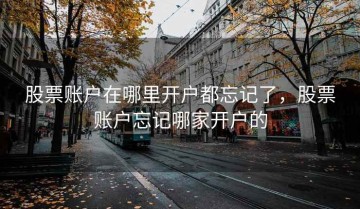 股票账户在哪里开户都忘记了，股票账户忘记哪家开户的