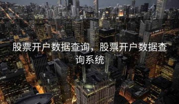 股票开户数据查询，股票开户数据查询系统