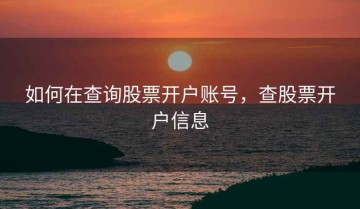 如何在查询股票开户账号，查股票开户信息