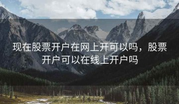 现在股票开户在网上开可以吗，股票开户可以在线上开户吗