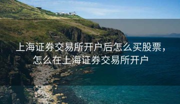 上海证券交易所开户后怎么买股票，怎么在上海证券交易所开户