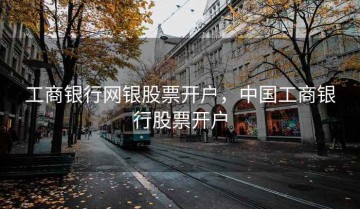 工商银行网银股票开户，中国工商银行股票开户