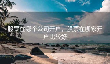 股票在哪个公司开户，股票在哪家开户比较好