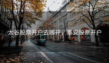 太谷股票开户去哪开，泰安股票开户