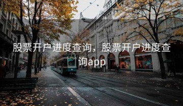 股票开户进度查询，股票开户进度查询app