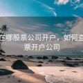怎查在哪股票公司开户，如何查询股票开户公司