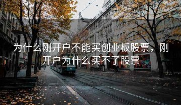 为什么刚开户不能买创业板股票，刚开户为什么买不了股票