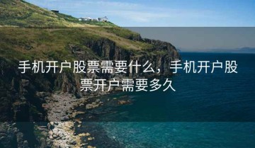 手机开户股票需要什么，手机开户股票开户需要多久