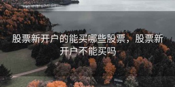 股票新开户的能买哪些股票，股票新开户不能买吗