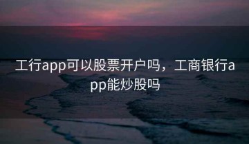 工行app可以股票开户吗，工商银行app能炒股吗