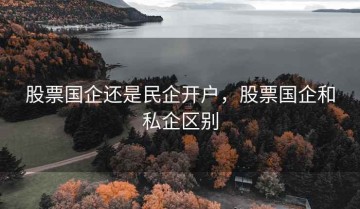股票国企还是民企开户，股票国企和私企区别