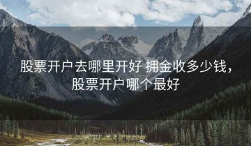 股票开户去哪里开好 拥金收多少钱，股票开户哪个最好