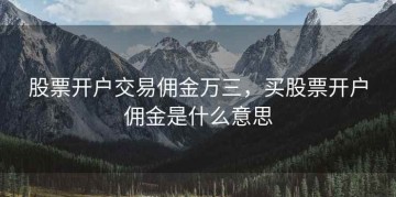 股票开户交易佣金万三，买股票开户佣金是什么意思