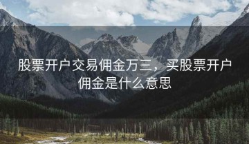 股票开户交易佣金万三，买股票开户佣金是什么意思