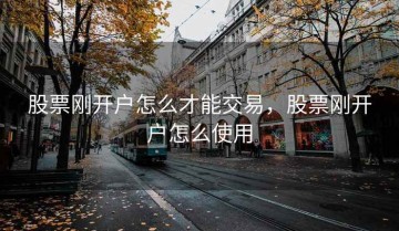 股票刚开户怎么才能交易，股票刚开户怎么使用