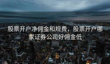 股票开户净佣金和规费，股票开户哪家证券公司好佣金低