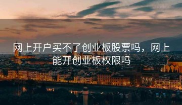 网上开户买不了创业板股票吗，网上能开创业板权限吗