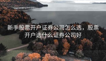 新手股票开户证券公司怎么选，股票开户选什么证券公司好