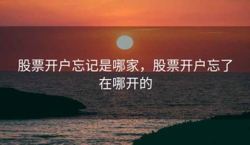 股票开户忘记是哪家，股票开户忘了在哪开的