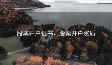 股票开户证书，股票开户资质