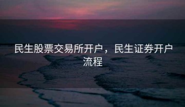 民生股票交易所开户，民生证券开户流程