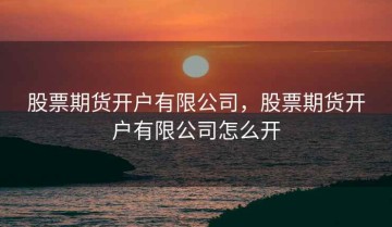 股票期货开户有限公司，股票期货开户有限公司怎么开