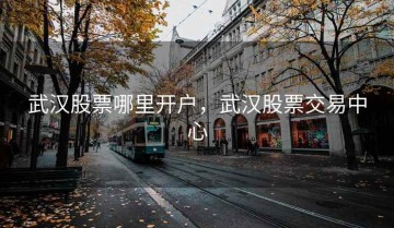 武汉股票哪里开户，武汉股票交易中心