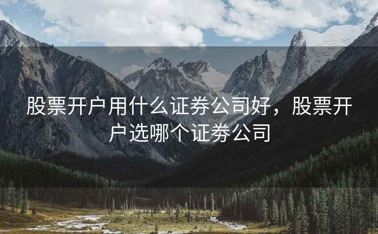 股票开户用什么证券公司好，股票开户选哪个证劵公司
