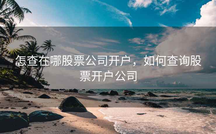 怎查在哪股票公司开户，如何查询股票开户公司