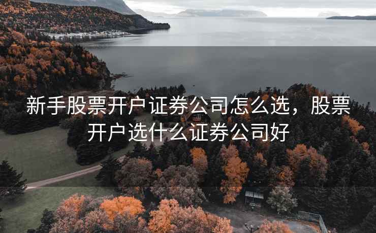 新手股票开户证券公司怎么选,股票开户选什么证券公司好 新手股票开户证券公司怎么选,股票开户选什么证券公司好