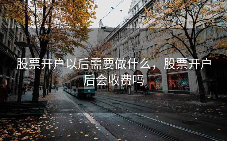 股票开户以后需要做什么，股票开户后会收费吗