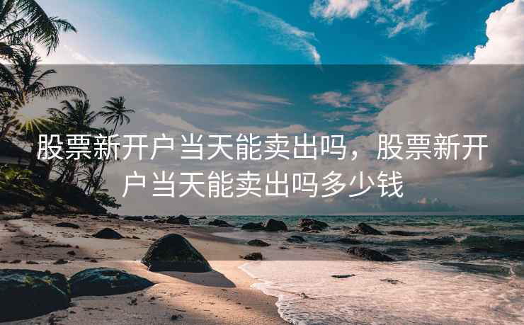 股票新开户当天能卖出吗，股票新开户当天能卖出吗多少钱