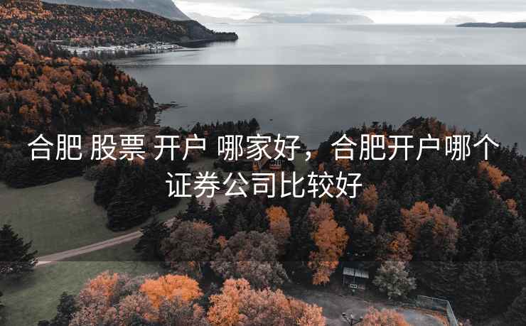 合肥 股票 开户 哪家好，合肥开户哪个证券公司比较好