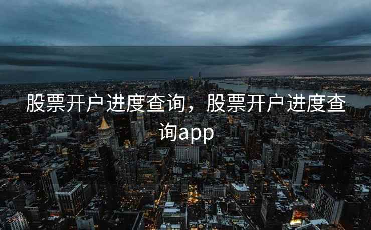 股票开户进度查询，股票开户进度查询app