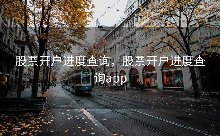 股票开户进度查询，股票开户进度查询app