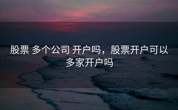 股票 多个公司 开户吗,股票开户可以多家开户吗 股票 多个公司 开户吗,股票开户可以多家开户吗