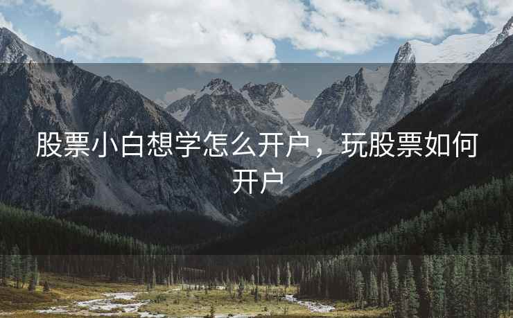股票小白想学怎么开户，玩股票如何开户