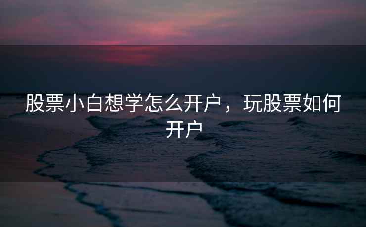 股票小白想学怎么开户，玩股票如何开户