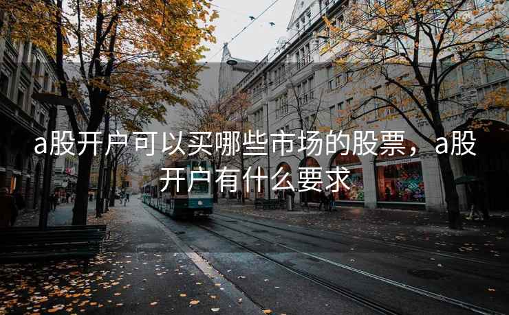 a股开户可以买哪些市场的股票,a股开户有什么要求 a股开户可以买哪些市场的股票,a股开户有什么要求
