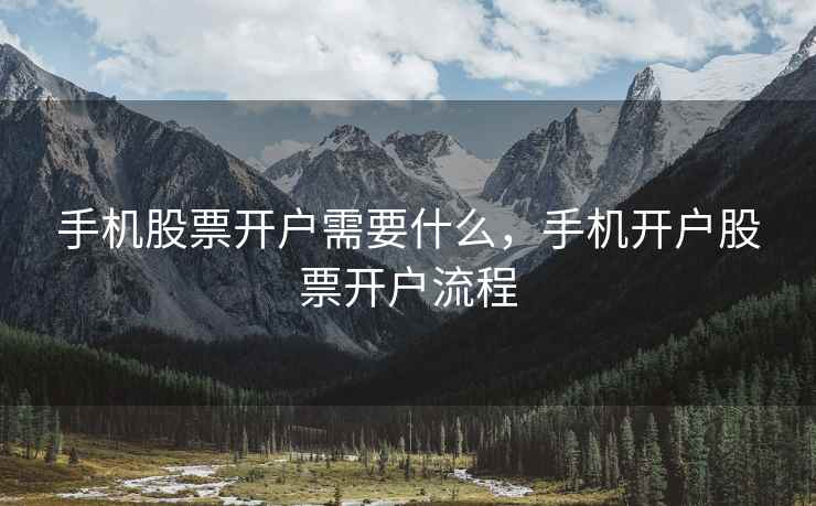 手机股票开户需要什么，手机开户股票开户流程