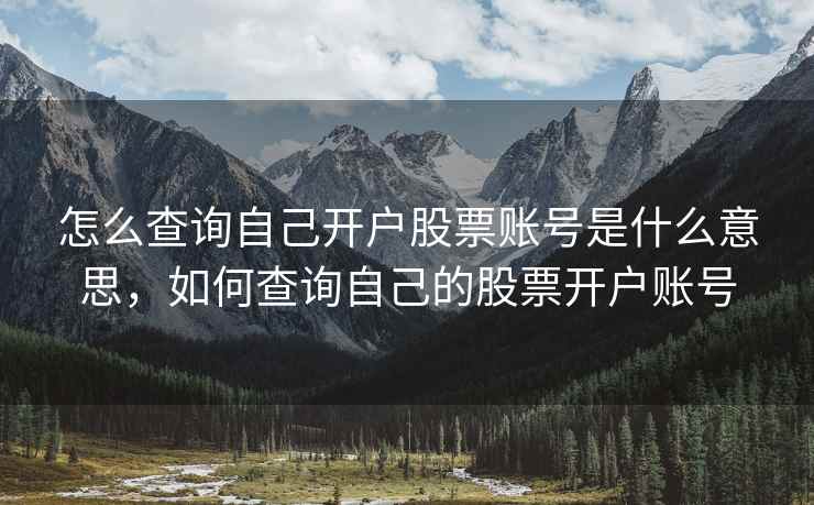 怎么查询自己开户股票账号是什么意思,如何查询自己的股票开户账号 怎么查询自己开户股票账号是什么意思,如何查询自己的股票开户账号