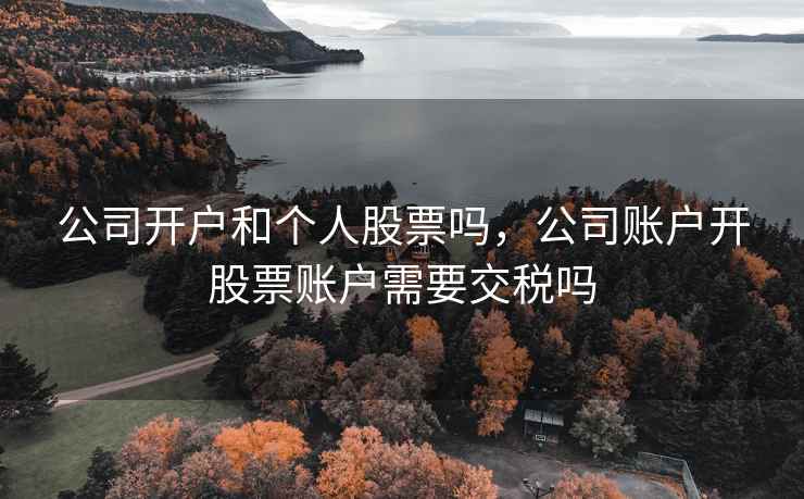 公司开户和个人股票吗,公司账户开股票账户需要交税吗 公司开户和个人股票吗,公司账户开股票账户需要交税吗