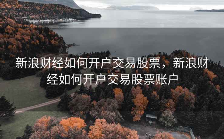 新浪财经如何开户交易股票，新浪财经如何开户交易股票账户