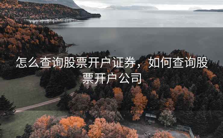 怎么查询股票开户证券,如何查询股票开户公司 怎么查询股票开户证券,如何查询股票开户公司