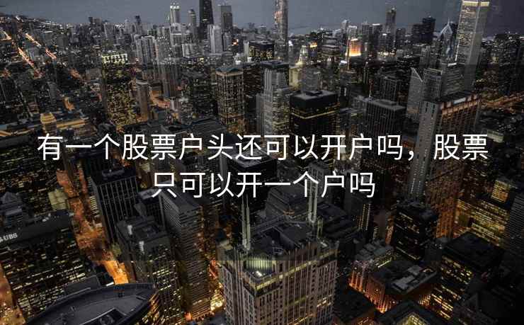 有一个股票户头还可以开户吗,股票只可以开一个户吗 有一个股票户头还可以开户吗,股票只可以开一个户吗