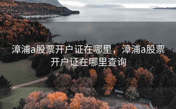漳浦a股票开户证在哪里，漳浦a股票开户证在哪里查询