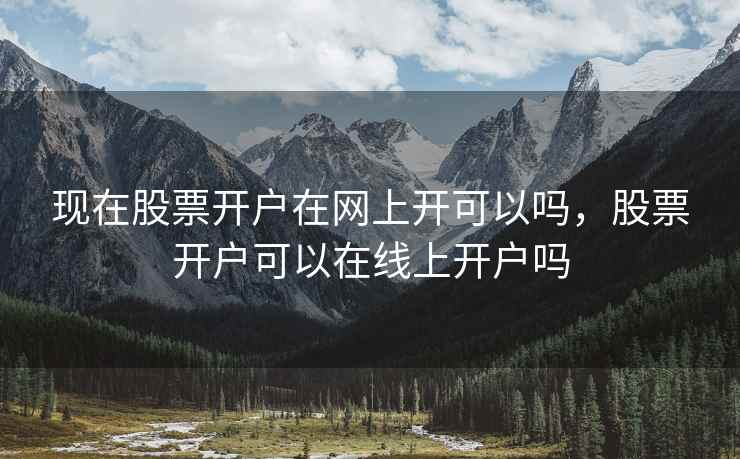 现在股票开户在网上开可以吗，股票开户可以在线上开户吗