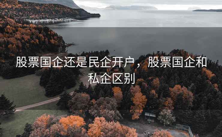 股票国企还是民企开户,股票国企和私企区别 股票国企还是民企开户,股票国企和私企区别